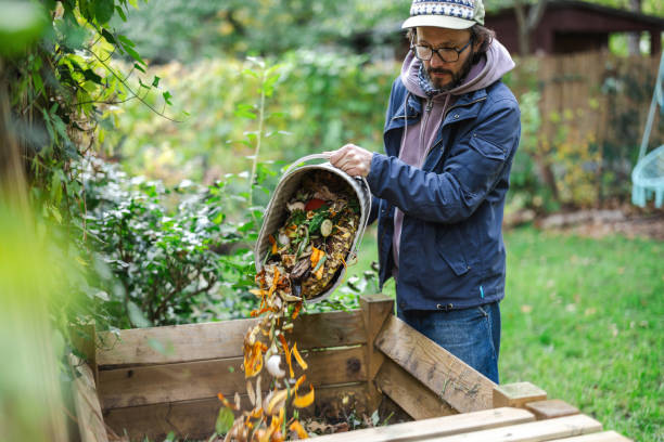 compost dans le jardin sans rongeurs